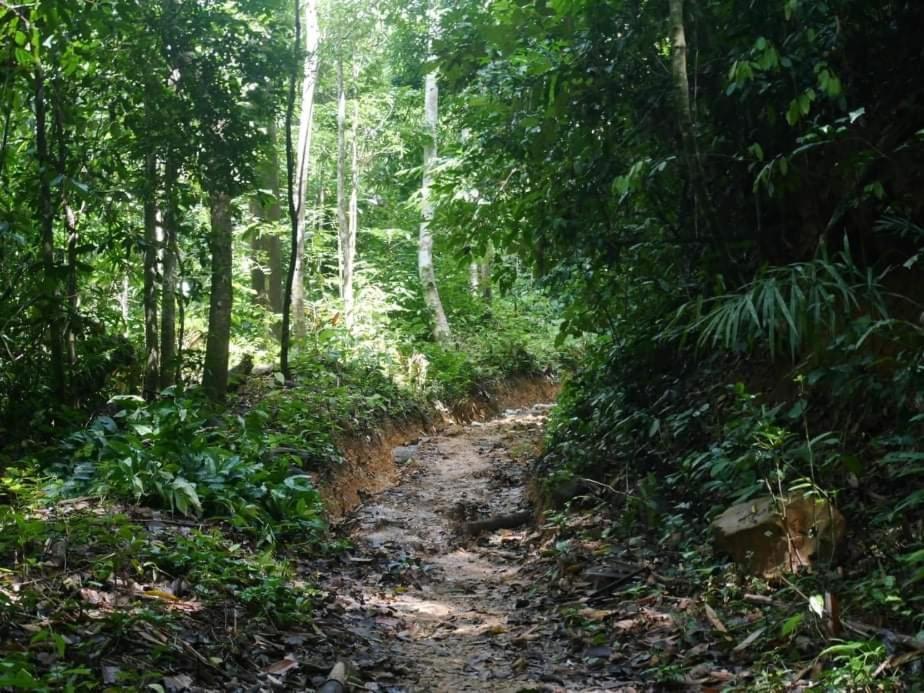 Khao Sok River & Jungle Деревянный коттедж Khao Sok National Park